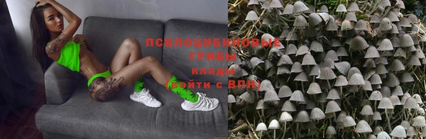 спиды Володарск